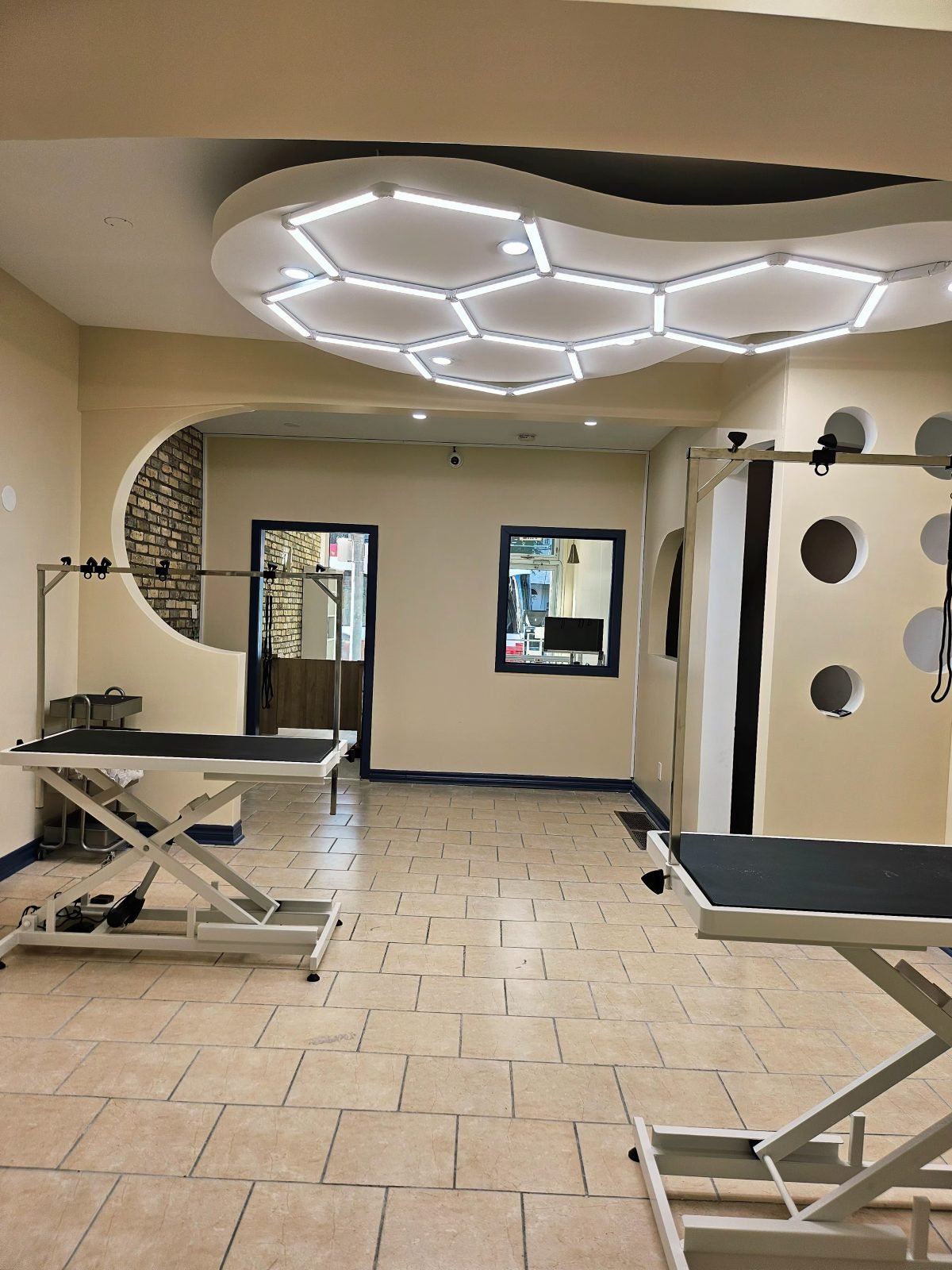 Bright grooming room at Rumi Grooming Studio with modern hexagon lighting