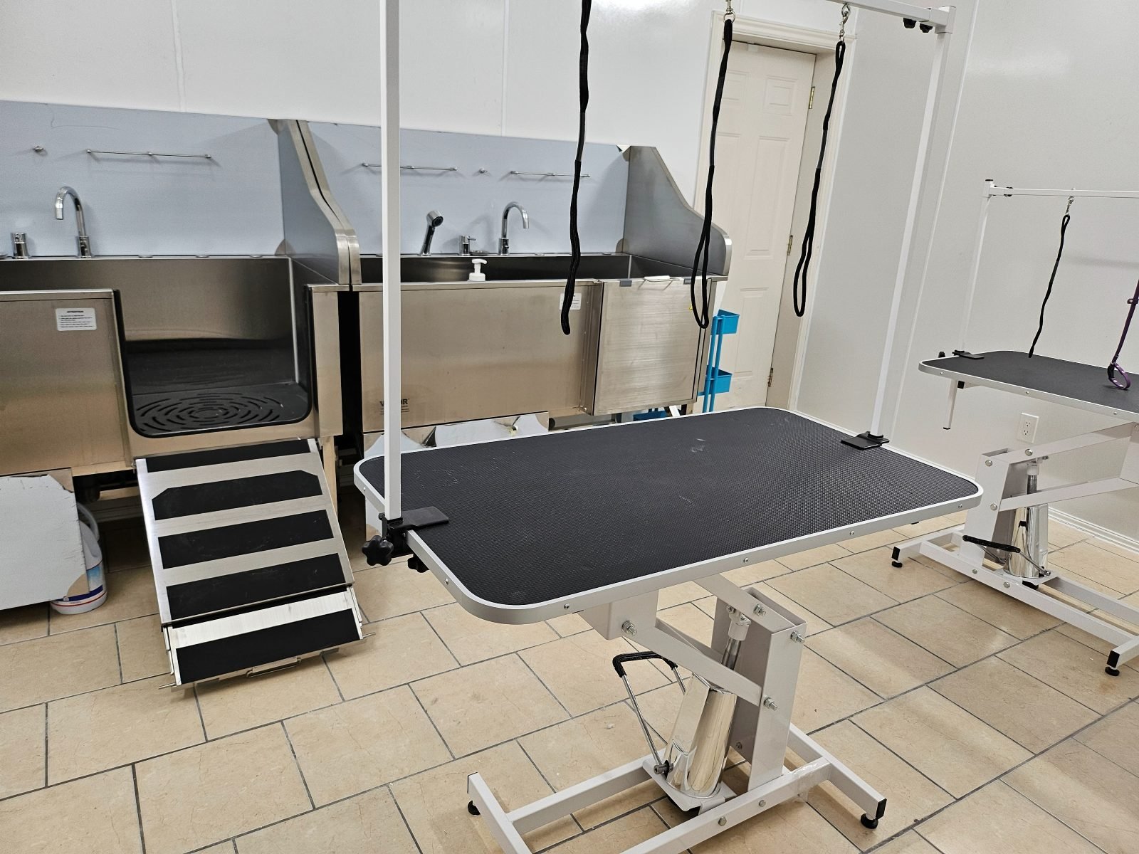 Professional grooming table and equipment at Rumi Grooming Studio