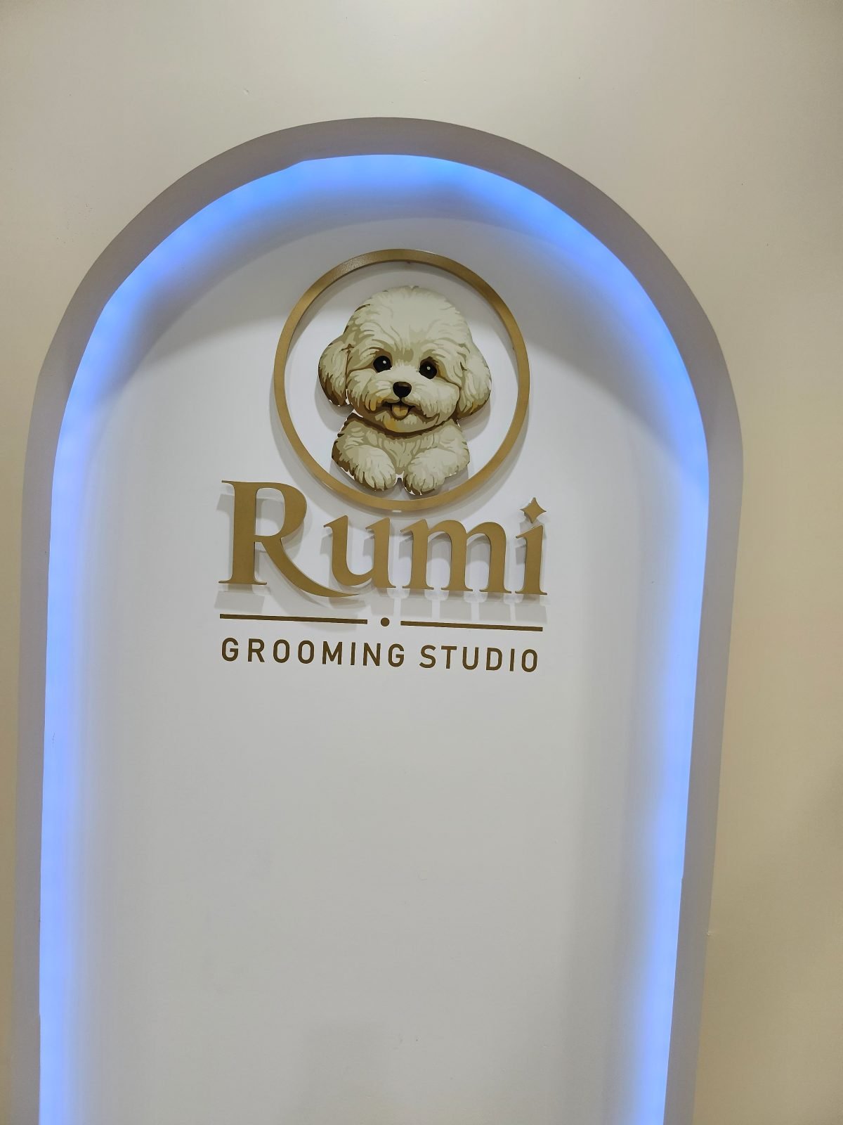 Illuminated Rumi Grooming Studio logo on the studio's feature wall